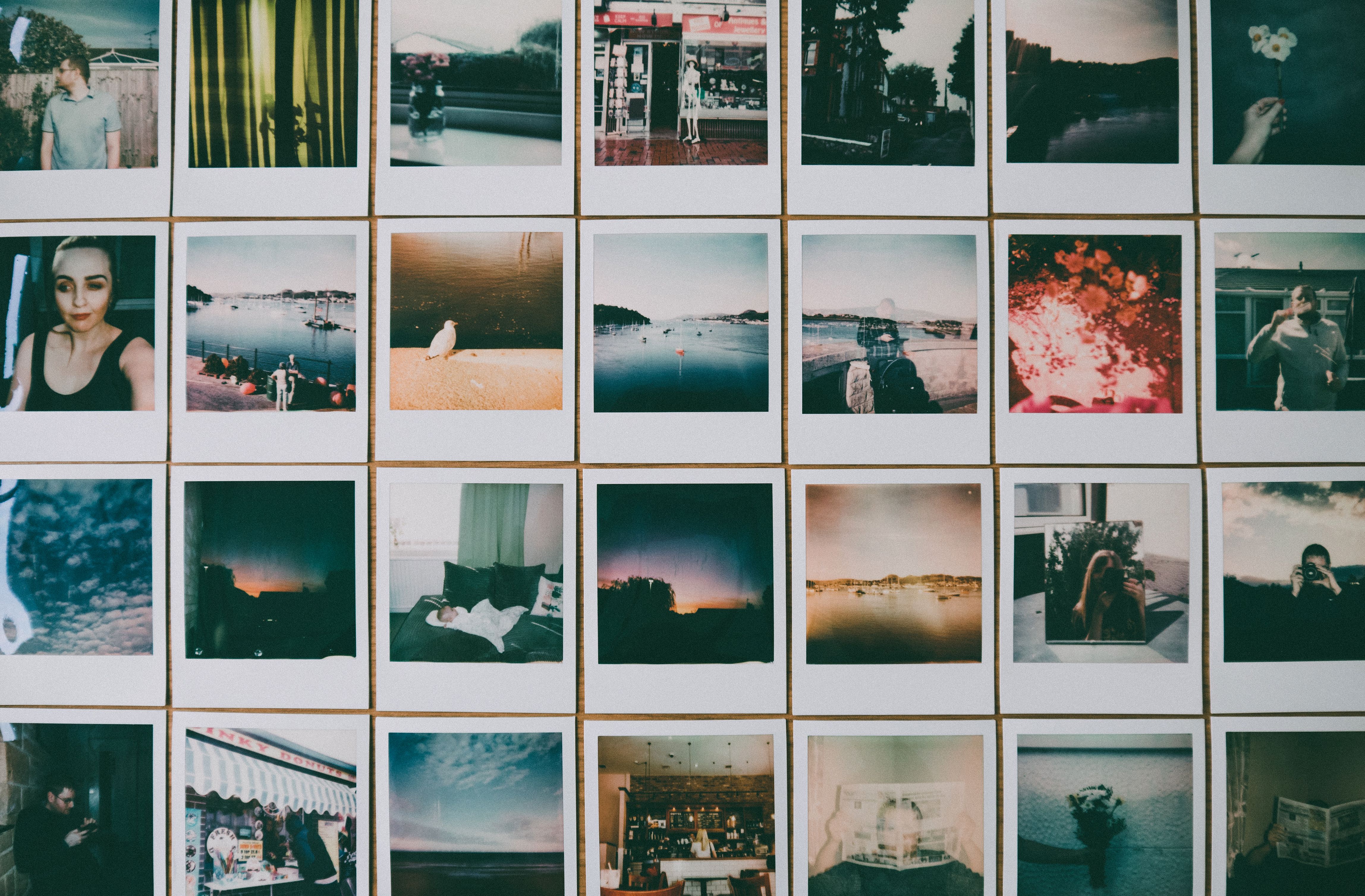 Wall of photographs and stills